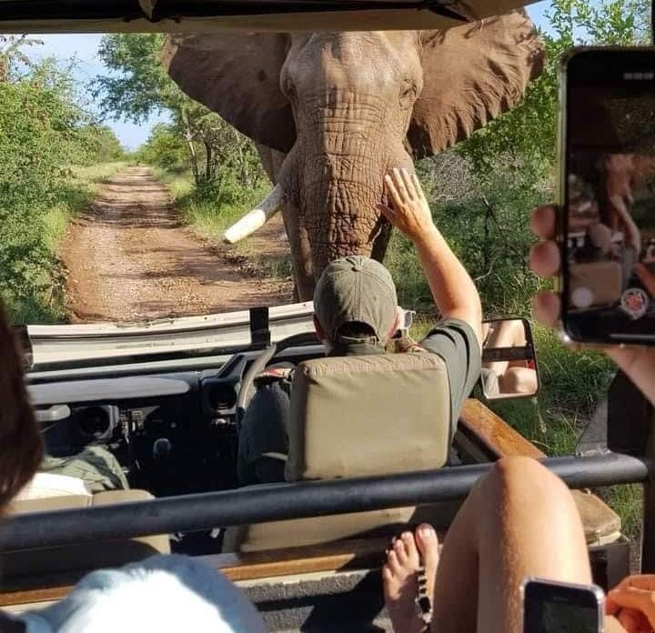 Customizable Private Johannesburg Day Tour with Guide